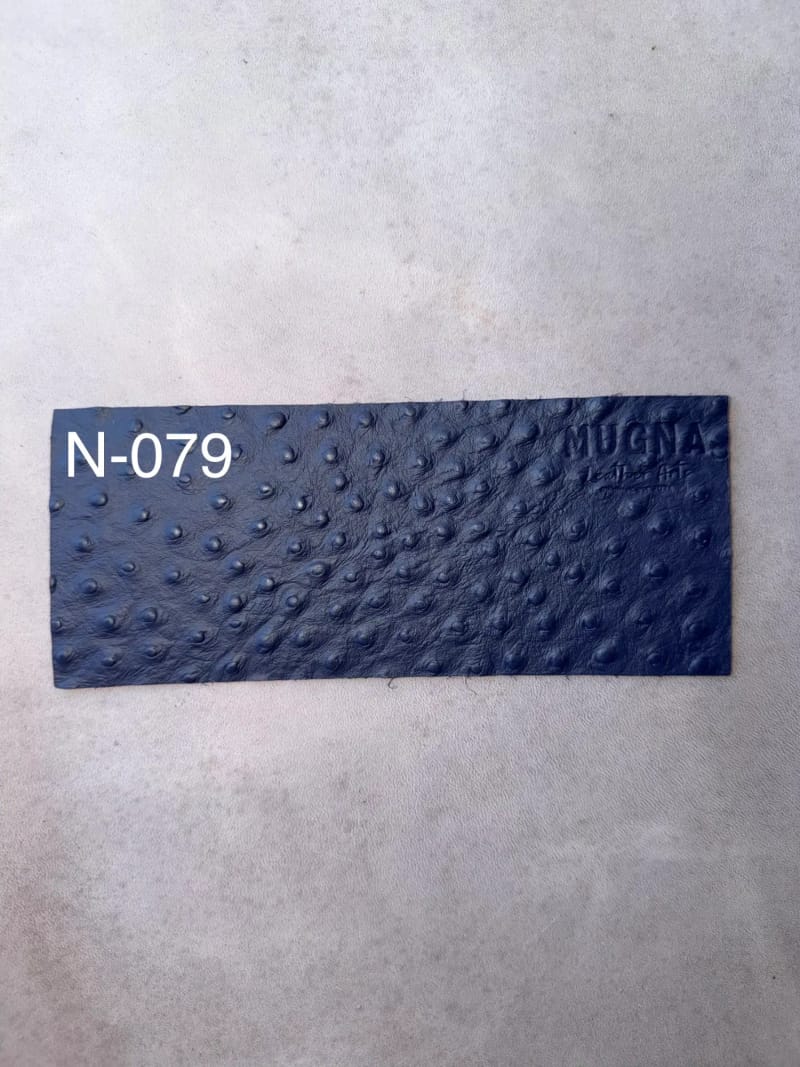 N-079.jpeg